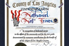 2007-Mar-3-County-of-LA